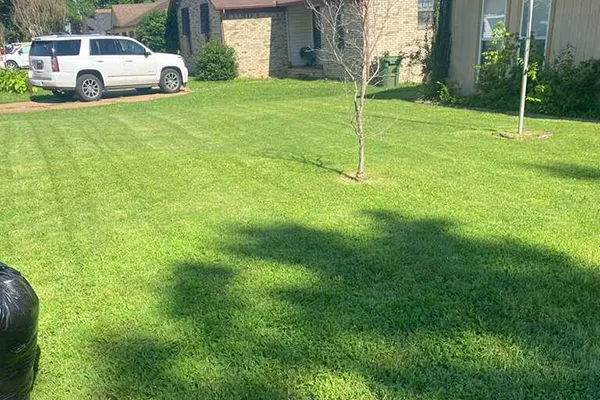 Reliable Lawn Care Lawn Care
