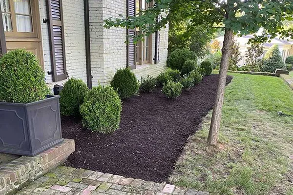 Reliable Mulching Mulching