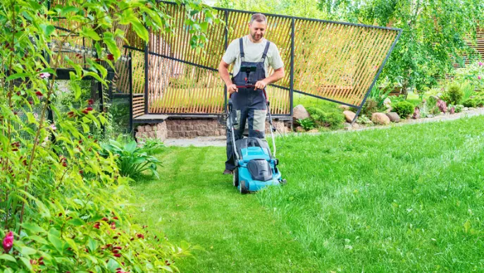 How Regular Lawn Mowing Promotes Healthy Grass Growth Millington TN How Regular Lawn Mowing Promotes Healthy Grass Growth Millington TN