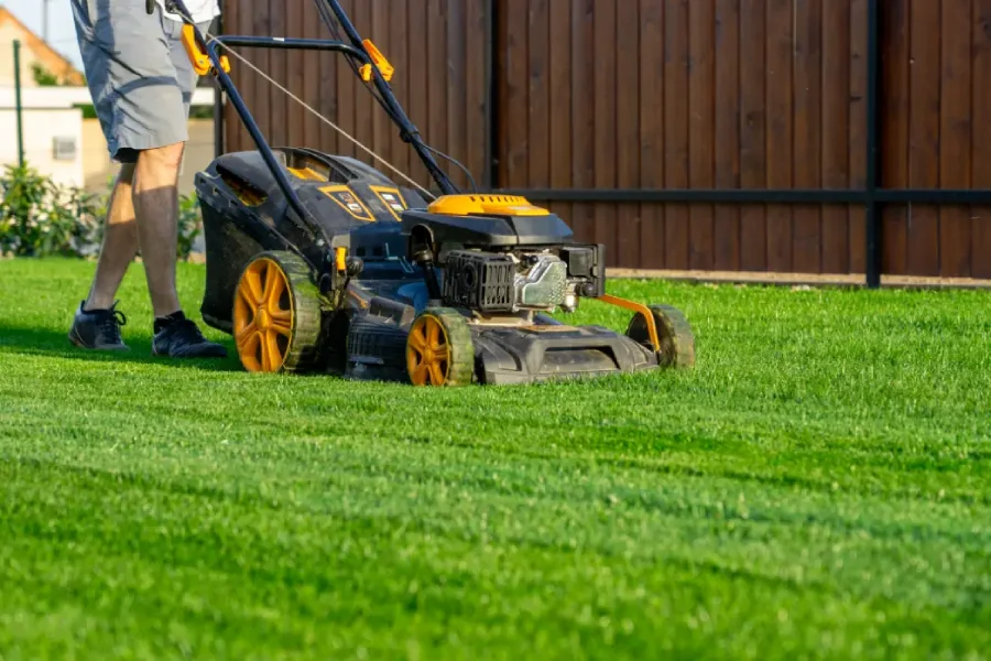 How Regular Lawn Mowing Promotes Healthy Grass Growth in Millington TN How Regular Lawn Mowing Promotes Healthy Grass Growth in Millington TN