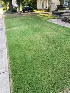 Reliable Lawn Mowing Lawn Mowing